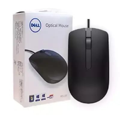 mouse